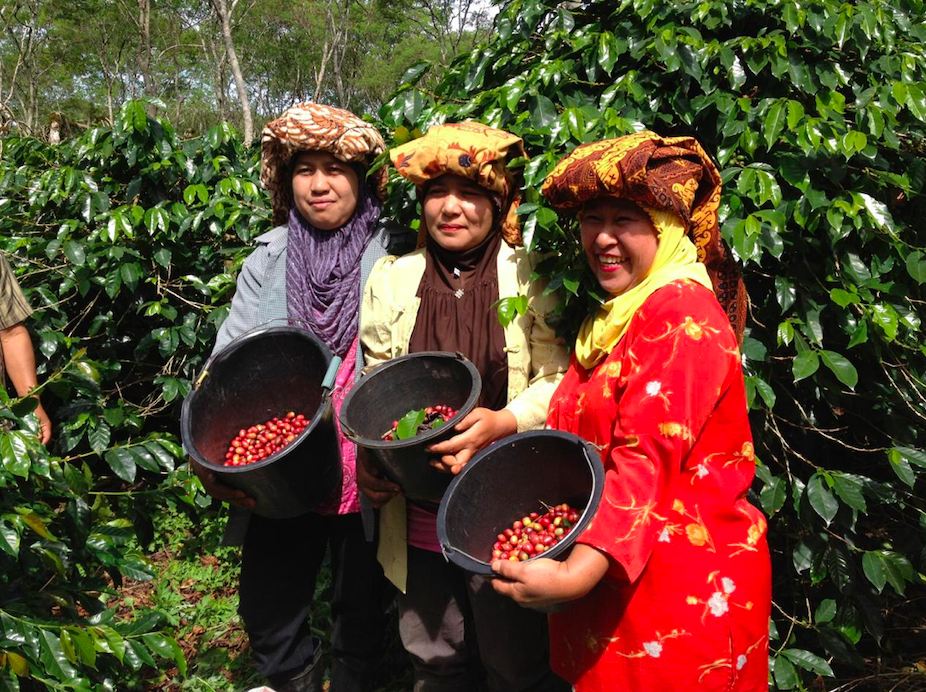 Three Indonesian women holding barrels of coffee.